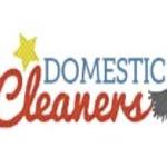 Cleaners London Profile Picture