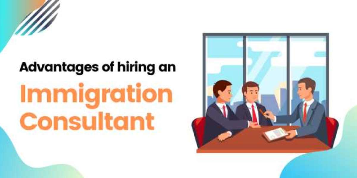 What Are The Advantage Of Hiring Immigration Consultants?