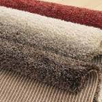Steam Point Carpet Cleaning Profile Picture