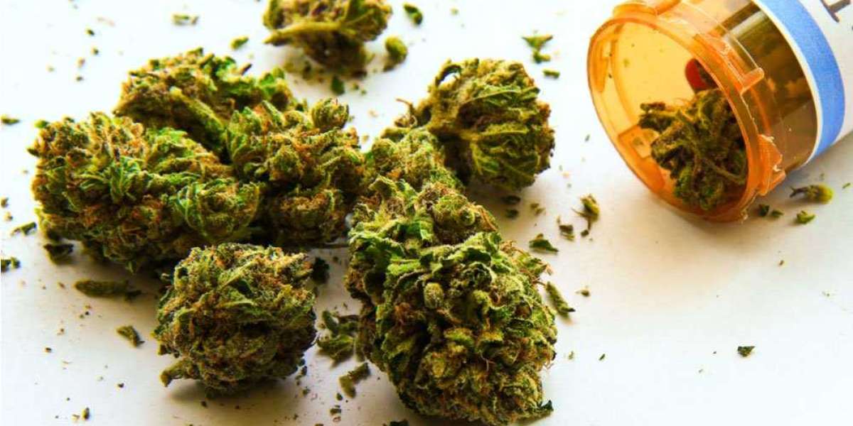 Medical marijuanas in MS